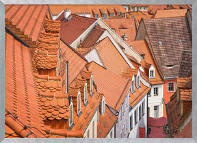 The color of these roofs... Poster