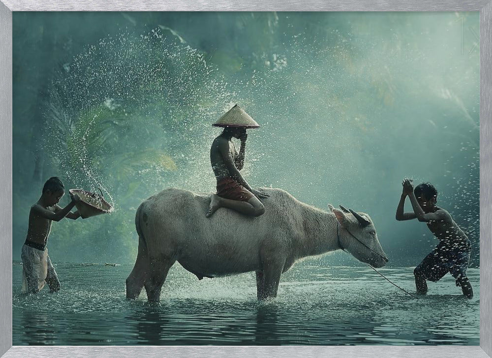 Water Buffalo Poster