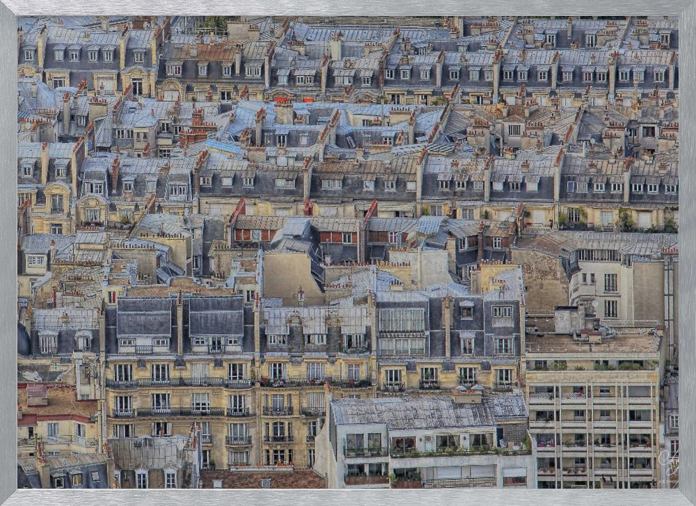 Parisian roofs Poster