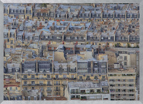 Parisian roofs Poster