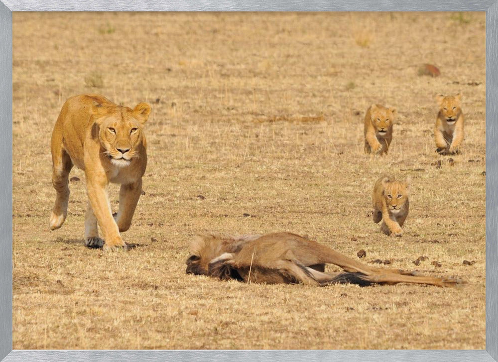 killing school Poster