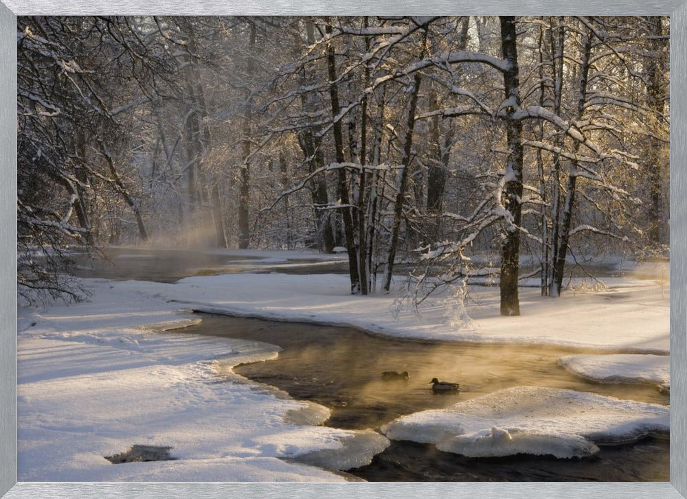 The first light Poster