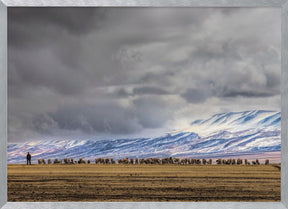 At the foot of the Tianshan Mountains Poster