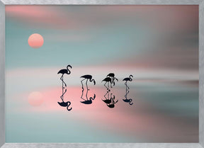 Family flamingos. Poster