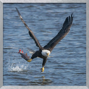 Lunch over Mississippi Poster