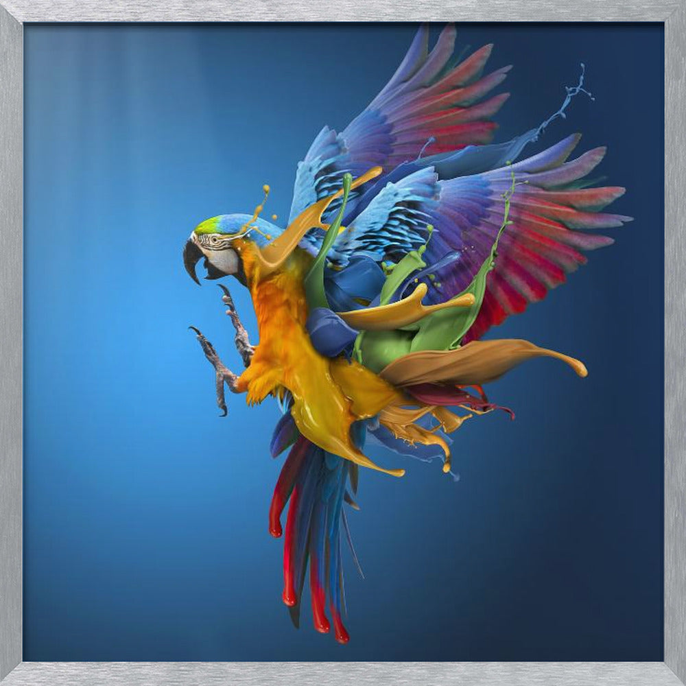 Flying Colours Poster