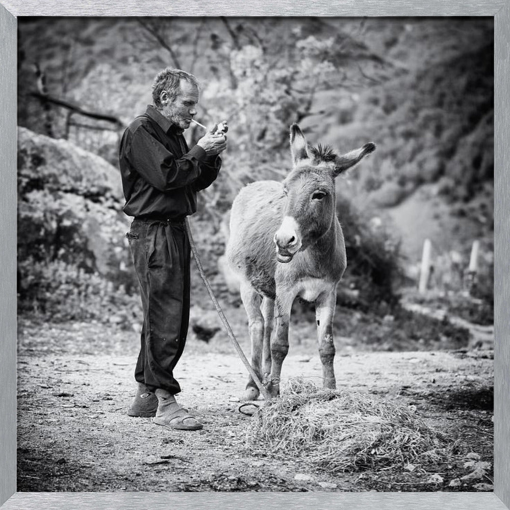 Vova and his donkey Poster