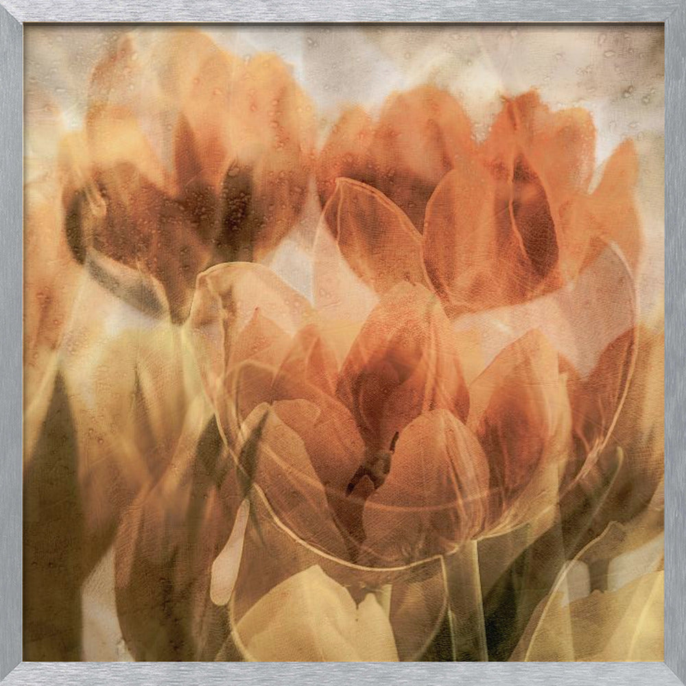 Tulips Poster