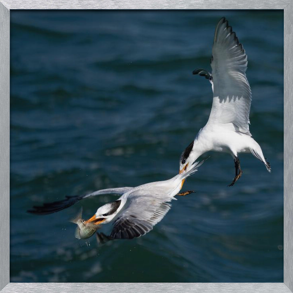 Robbery on the High Sea Poster