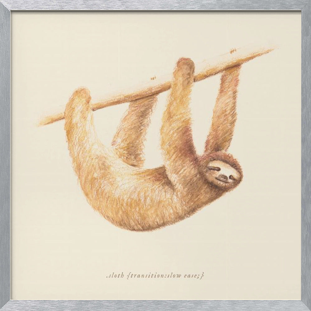 Css Animals   Sloth Poster