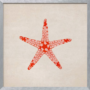 Sea Star Poster