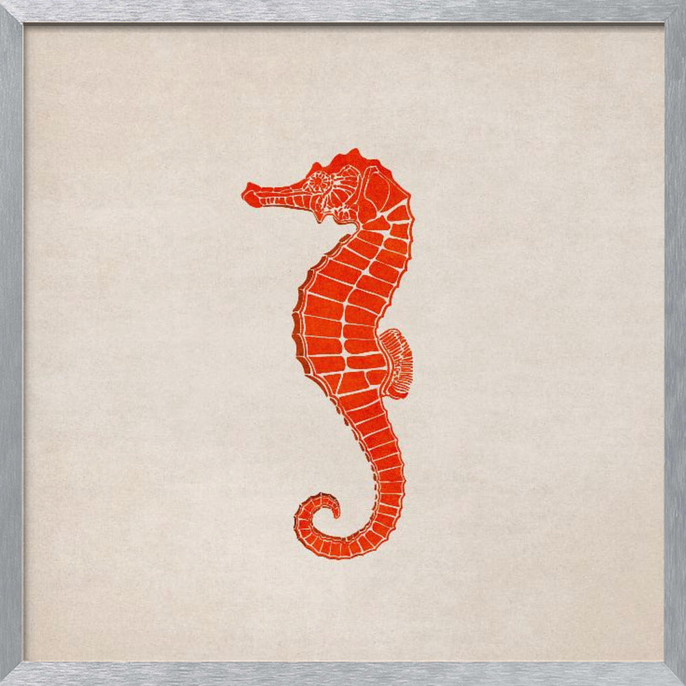 Sea Horse Poster