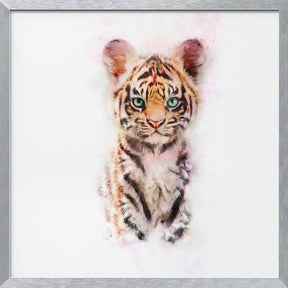 Baby Tiger Poster