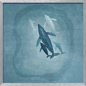 Whalesfamily Poster