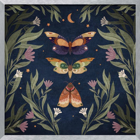 Butterfly Night Fly Poster