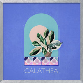 Green Sets Calathea Poster