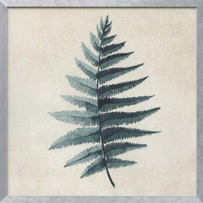 Teal watercolor fern 5 Poster