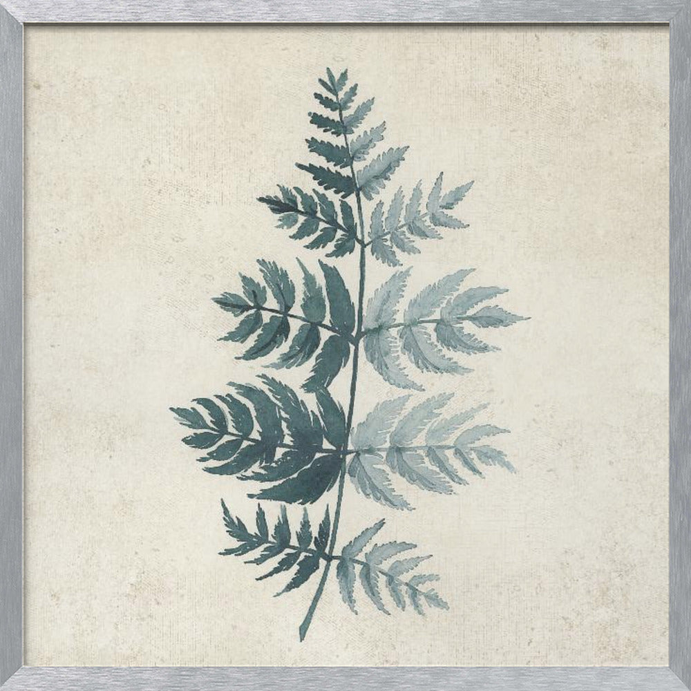 Teal watercolor fern 4 Poster