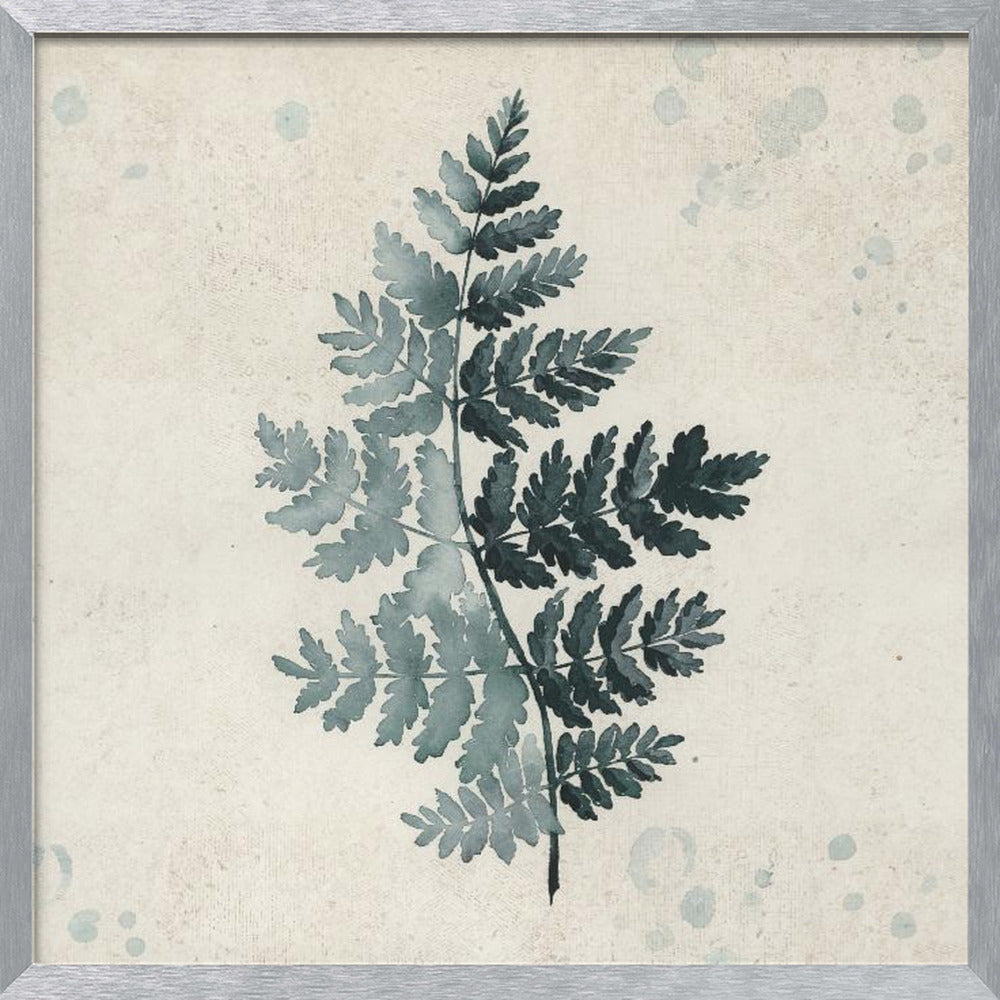 Teal watercolor fern 2 Poster