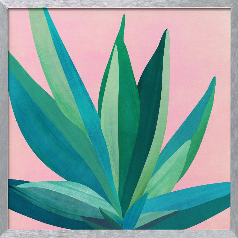 Colorful Agave 4 Poster