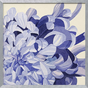 Chrysanthemum Poster