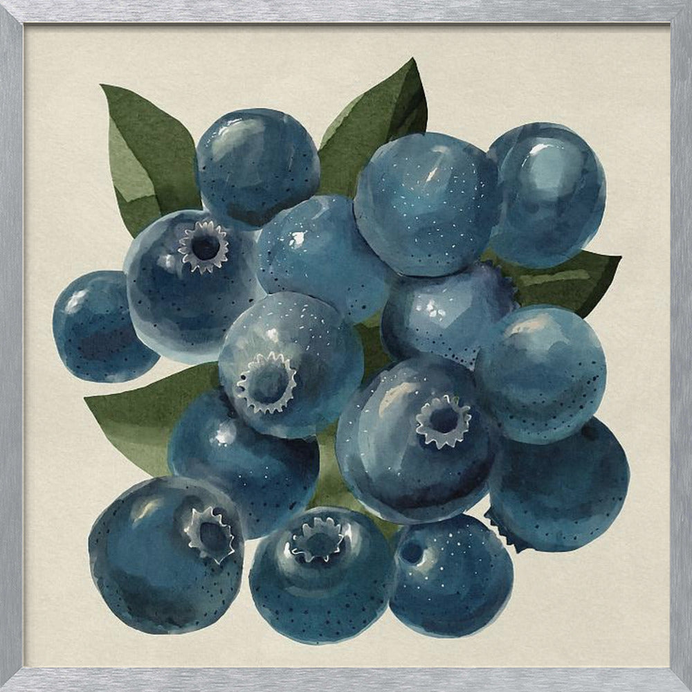 Blueberries Poster