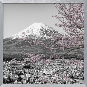 Charming view of Mount Fuji during cherry blossom season - colorkey Poster