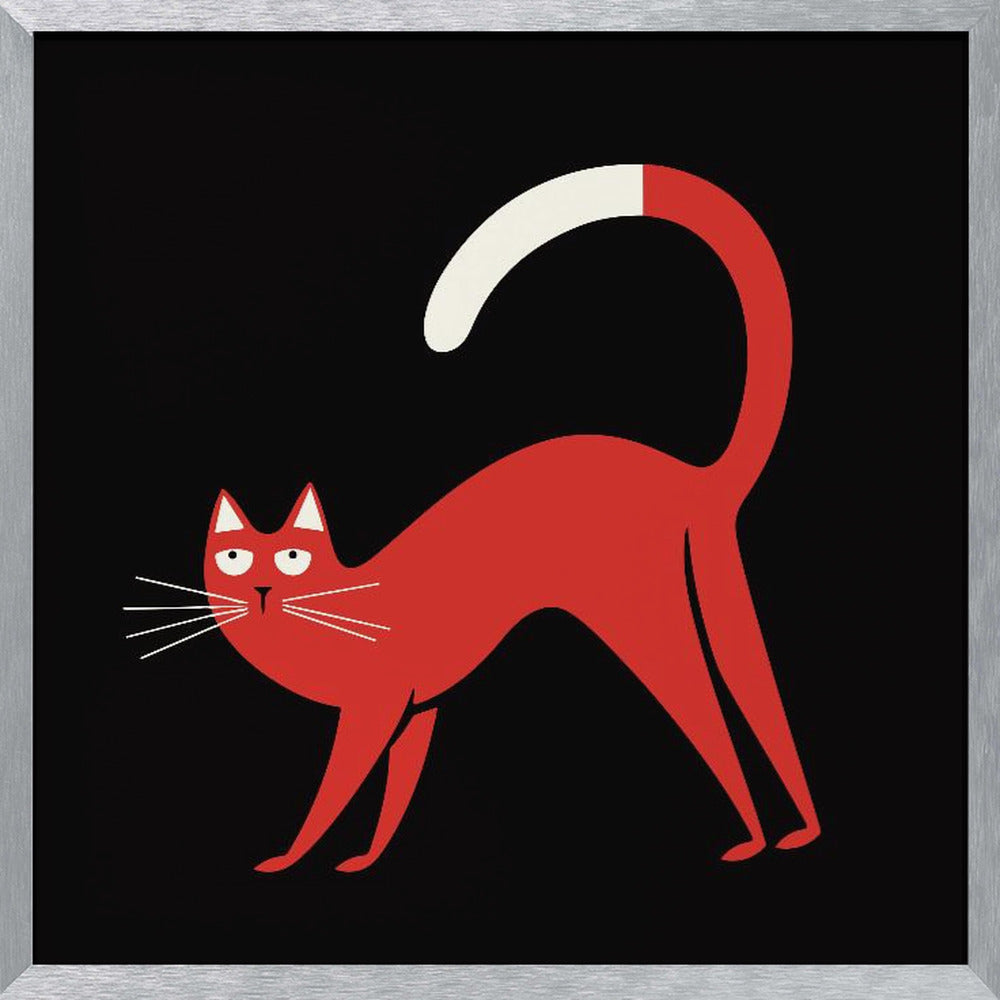 Red Cat Poster