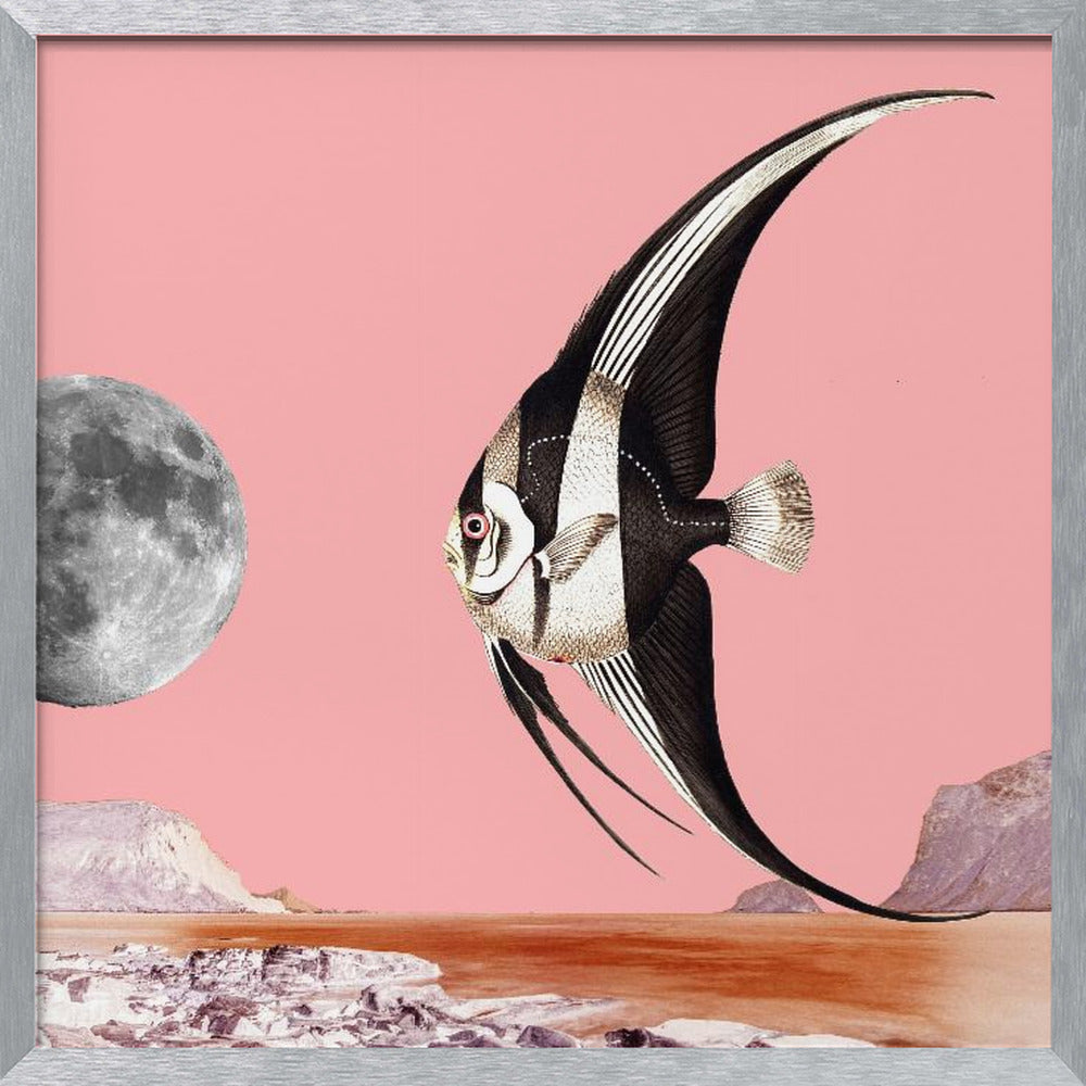 Plenty of Fish In the Sea Pink - Surreal Collage Poster