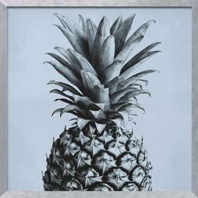 Pineapple Poster