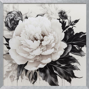 Peonies Sketch Poster