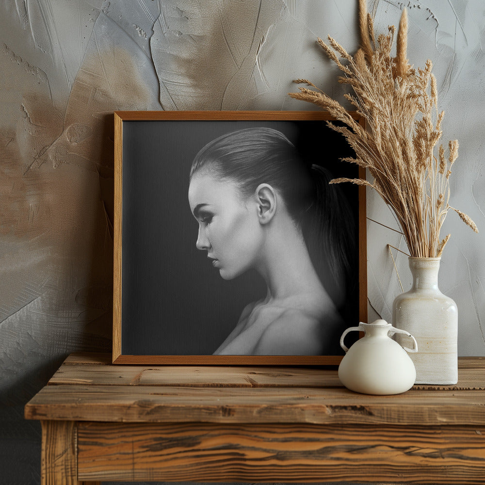 PROJECT FACES [Lucia] Poster