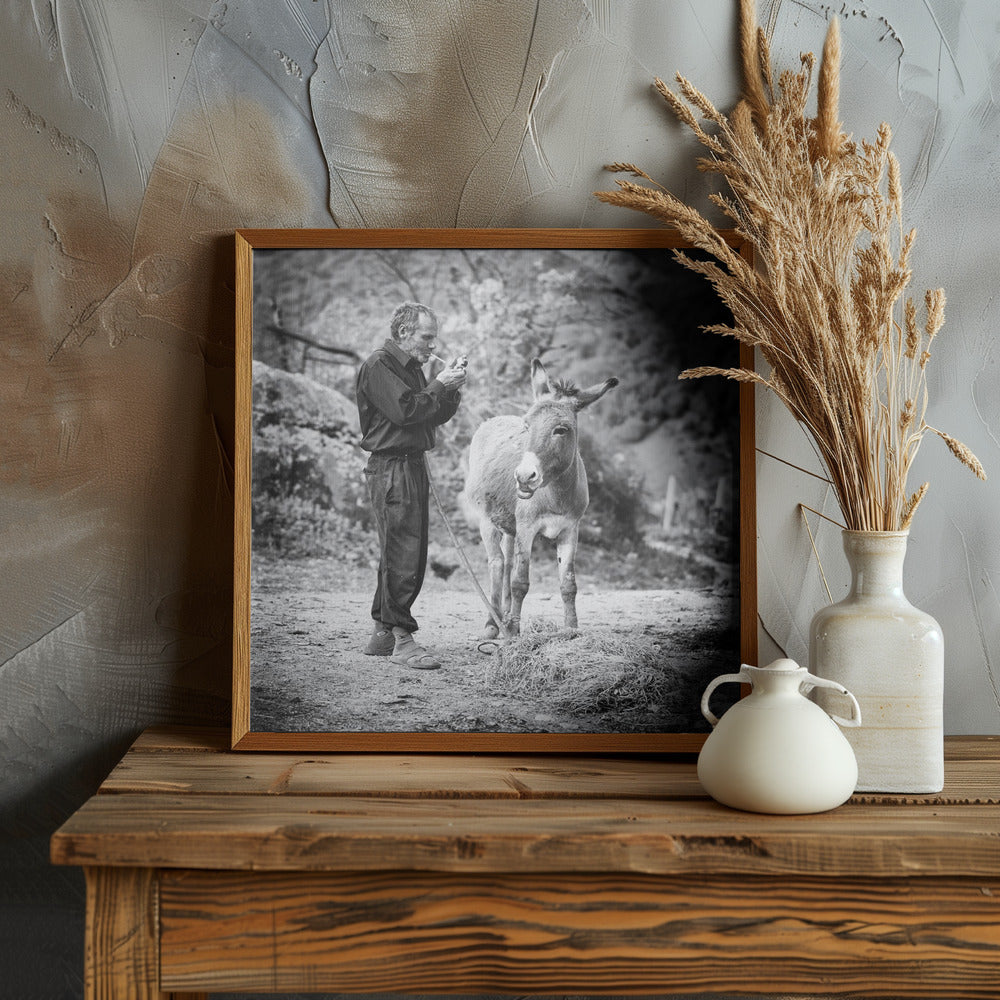 Vova and his donkey Poster