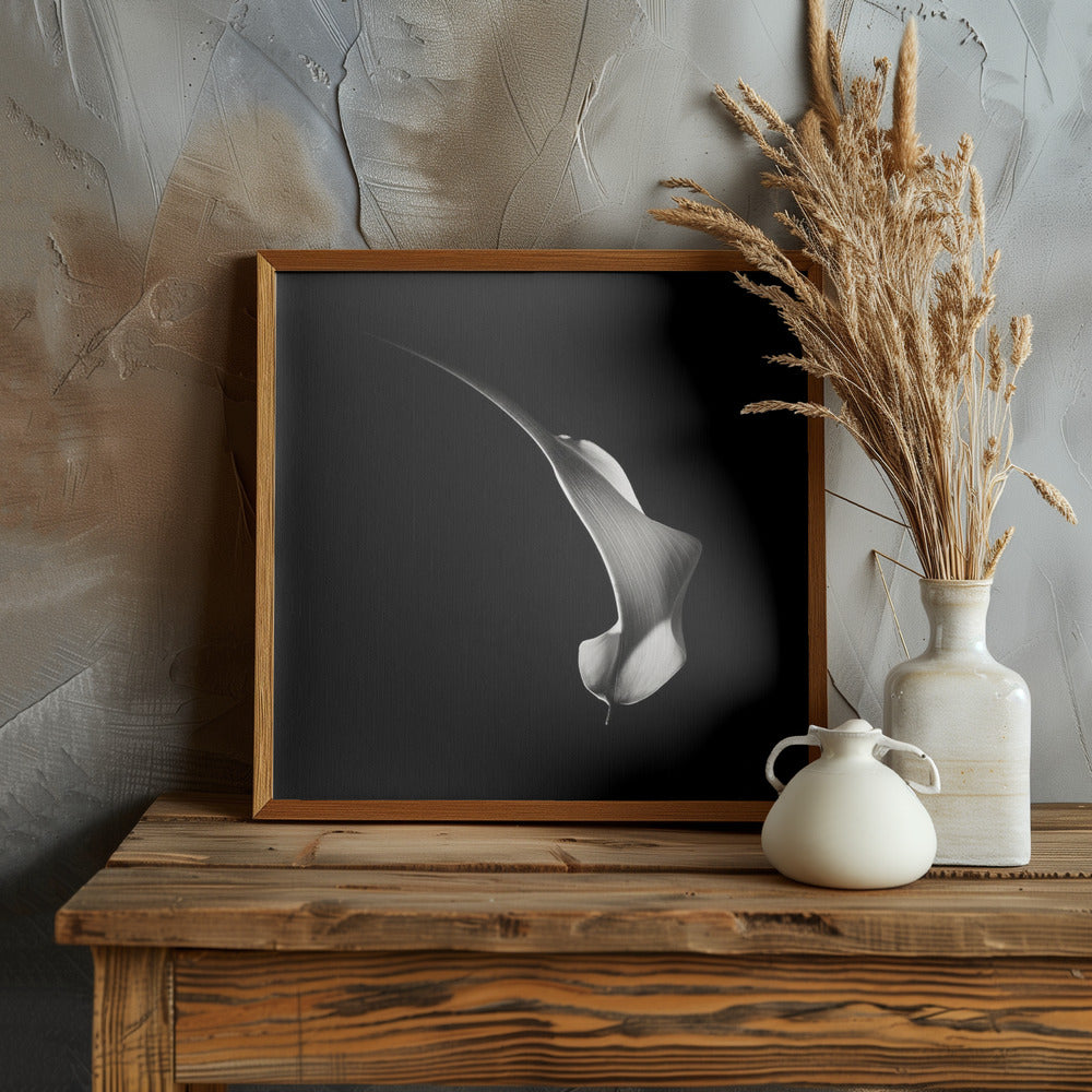 Hummingbird Abstraction (Calla Lily #3) Poster