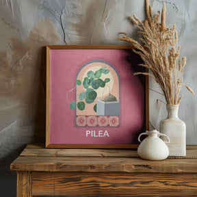 Green Sets Pilea Poster