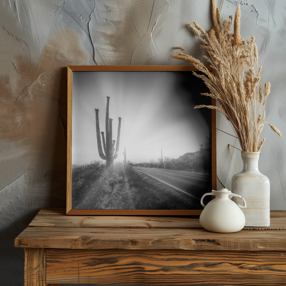 SAGUARO NATIONAL PARK Setting Sun | Monochrome Poster