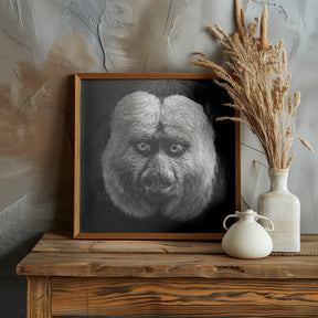 White-Faced Saki Poster