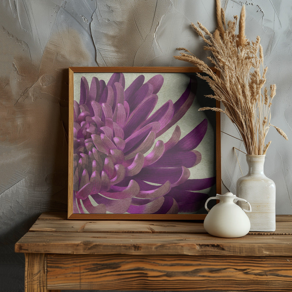 Chrysanthemum Purple Poster