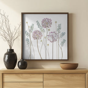 Allium Poster