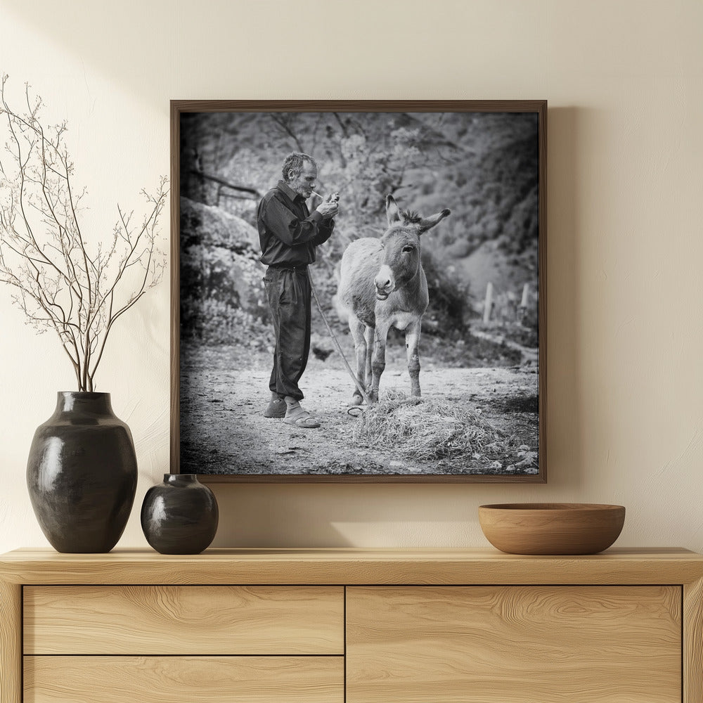 Vova and his donkey Poster