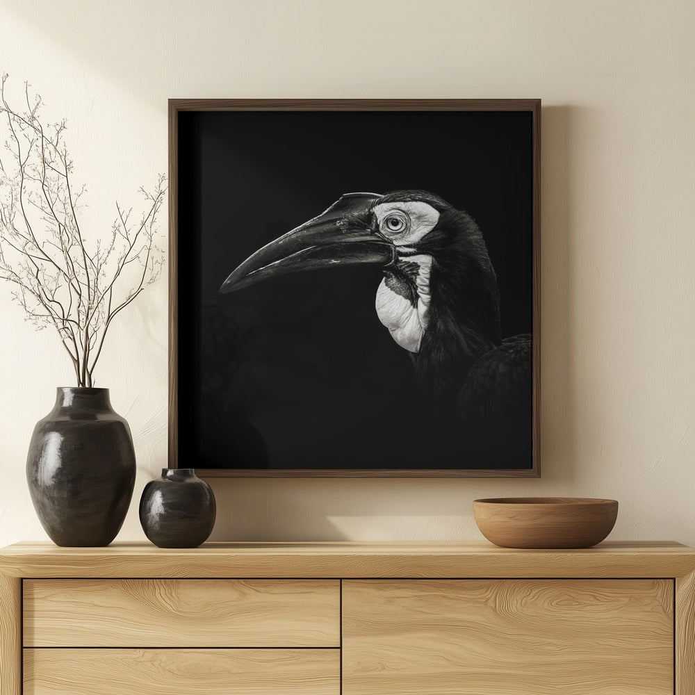 Southern Ground Hornbill Poster