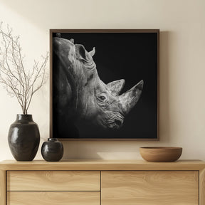 Rhino Poster