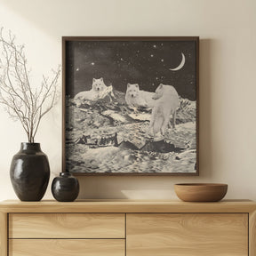 Giant White Wolves Poster