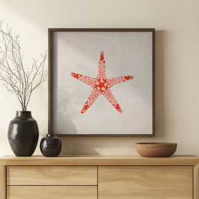 Sea Star Poster