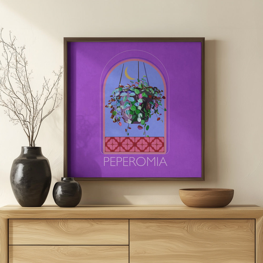 Green Sets Peperomia Poster