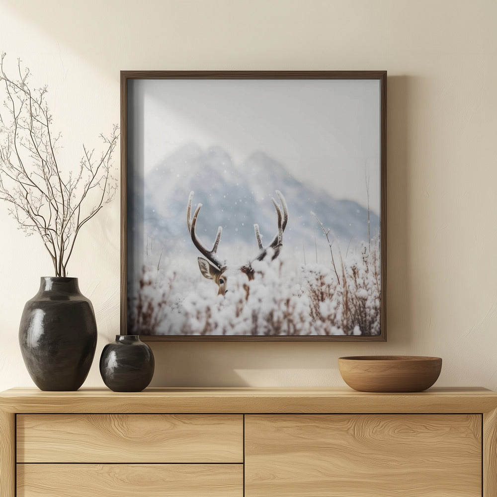 Shy Deer Poster