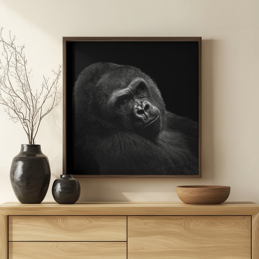 Gorilla Poster