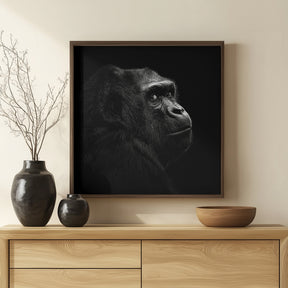 Gorilla Poster