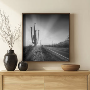 SAGUARO NATIONAL PARK Setting Sun | Monochrome Poster