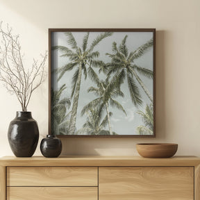 Lovely Vintage Palm Trees Poster